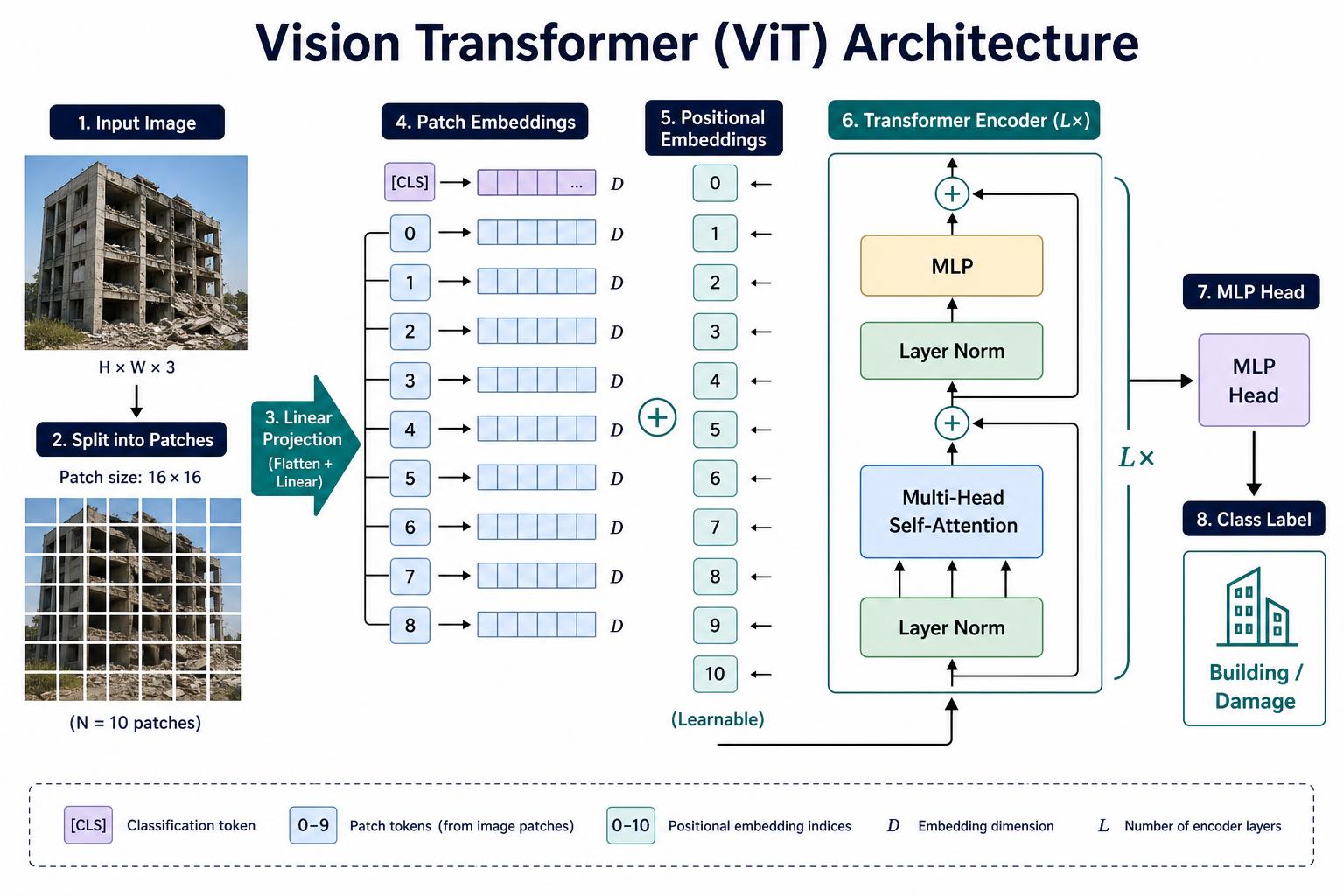 Vision Transformer (ViT) architecture: input image split into 16×16 patches, linear projection, patch + positional embeddings with [CLS] token, transformer encoder block (LayerNorm, Multi-Head Self-Attention, MLP, residuals) repeated L×, then MLP head for class label.